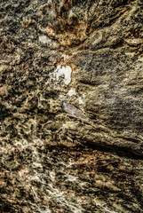 Beautiful granite beach coastline, Sicily