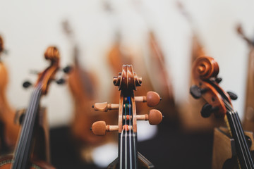 Details with the scroll, peg box, tuning pegs, strings, neck and fingerboard of a violin before a...