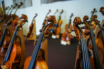 Details with parts of violins before a symphonic classical concert
