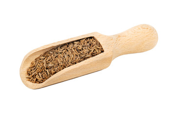 Dry cumin in a scoop