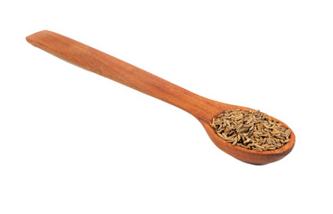 Dry cumin in spoon
