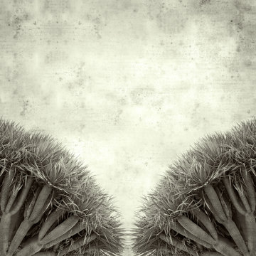  old paper background