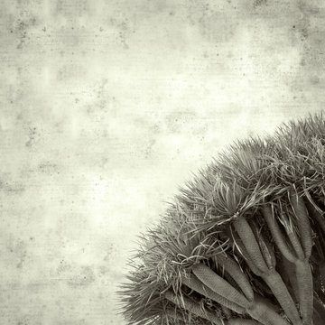  old paper background