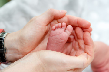 Newborns. Children's legs in the palm of your hand. Close-up.