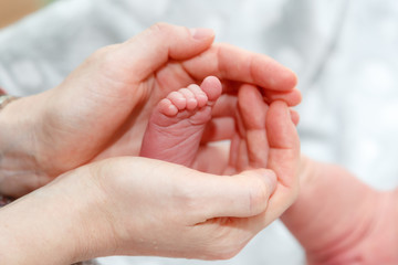 Newborns. Children's legs in the palm of your hand. Close-up.