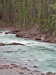 Naklejka na ściany i meble Kicking Horse River is a glacial river in the Canadian Rockies, Yoho National Park, British Columbia, Canada