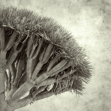  old paper background