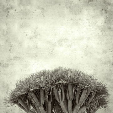  old paper background