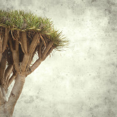  old paper background