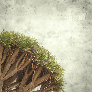  old paper background