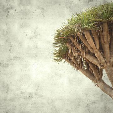  old paper background