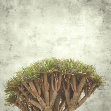 old paper background