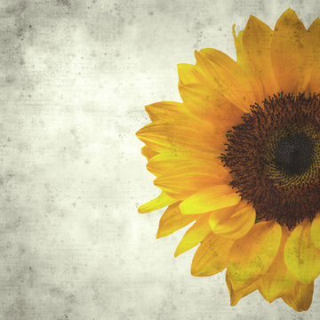  old paper background