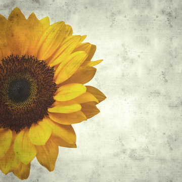  old paper background