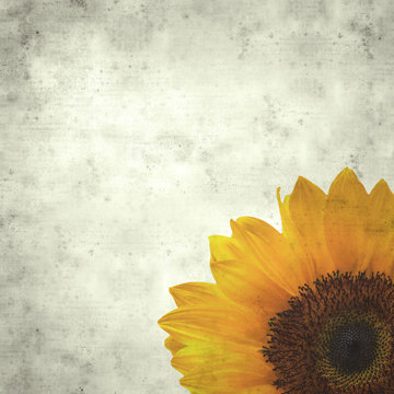  old paper background