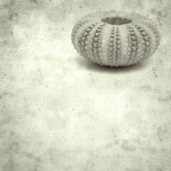  old paper background