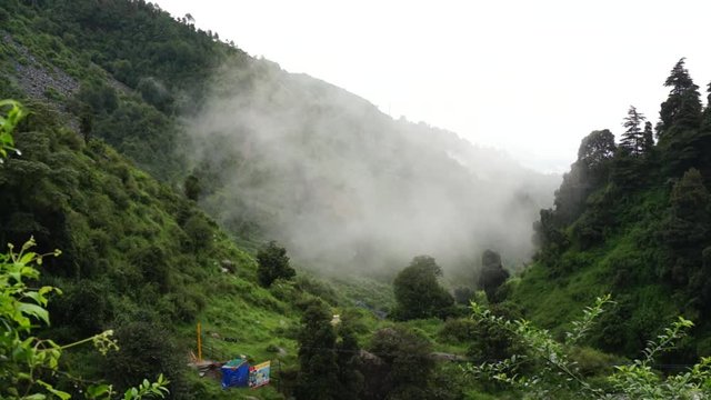 Clouds entering a lush green valley with trees covering the hills in McLeodganj, Dharamshala, Shimla