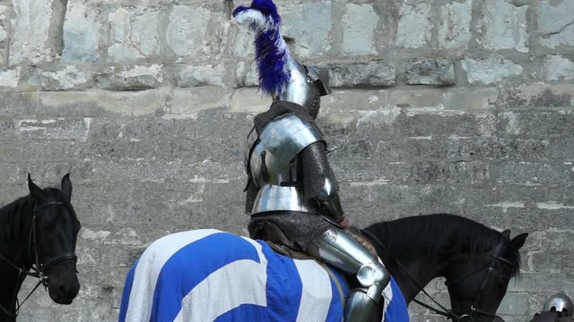 Equestrian Knight Tournament