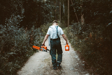 a man sawing a tree with a chainsaw. removes forest plantations from old trees, prepares firewood.