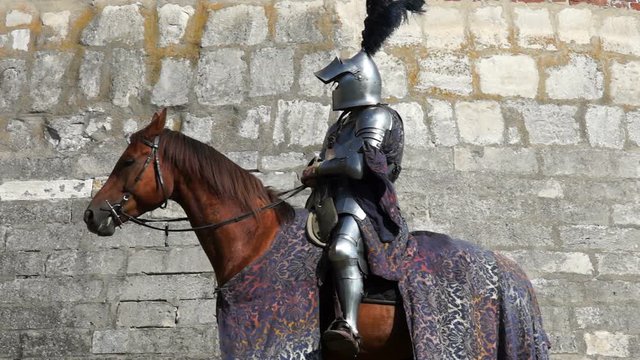 Equestrian Knight Tournament