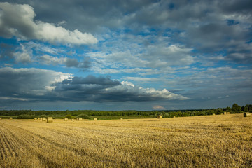 Bales of hay on stubble, horizon and gray clouds on a sky