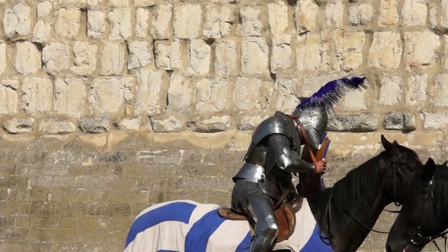 Equestrian Tournament of the Knights