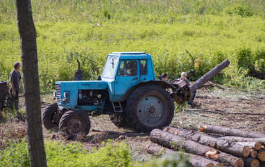 Obraz premium Industrial deforestation by forestry workers using machinery