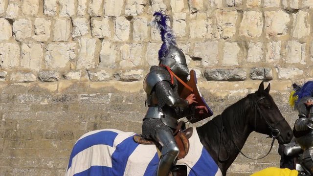 Equestrian Knight Tournament