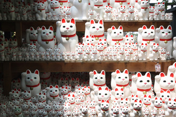 Traditional beckoning cats in Gotoku-ji temple in Tokyo