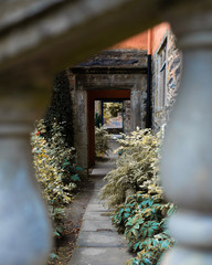 looking through the door