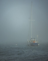 Foggy boat
