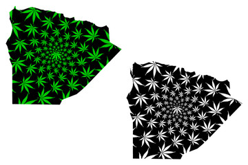Matrouh Governorate (Governorates of Egypt, Arab Republic of Egypt) map is designed cannabis leaf green and black, Matrouh map made of marijuana (marihuana,THC) foliage,....