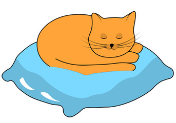 red cat sleeping on a pillow