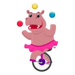 Vector Illustration of a Circus hippopotamus on unicycle and juggling