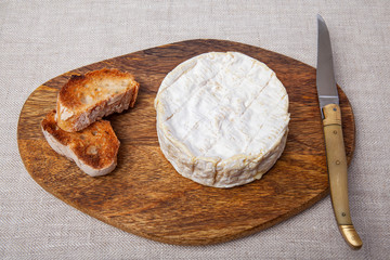 French cheese called camembert with toasts