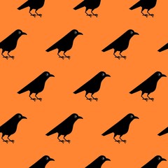 Seamless pattern of cute raven crow vector on orange background.