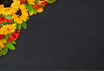 Decorative sunflowers and rowan berries in a beautiful autumn corner arrangement on black chalkboard