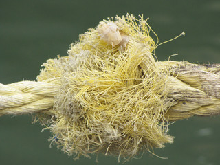 geplatzter Knoten