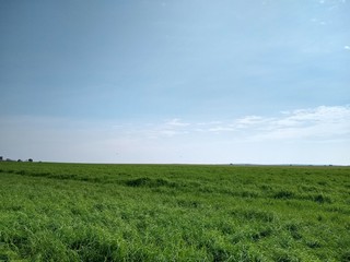 Obraz premium Hay farm