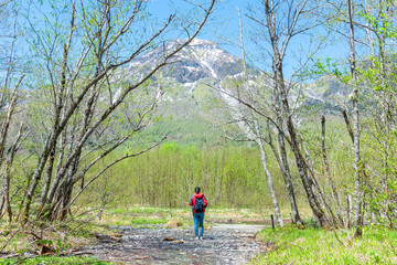 FeFemale hiker standing in the forest of Kamikochi in Northern Japan Alps.male hiker standing in the forest of Kamikochi in Northern Japan Alps.