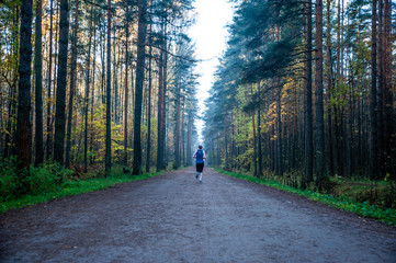 Atmospheric autumn photo, a man runs along the road, the theme of sports and autumn