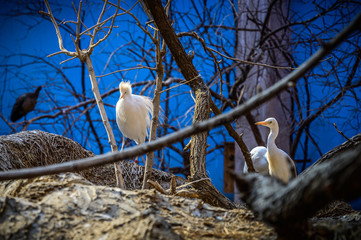 ZOO Wroclaw Africarium