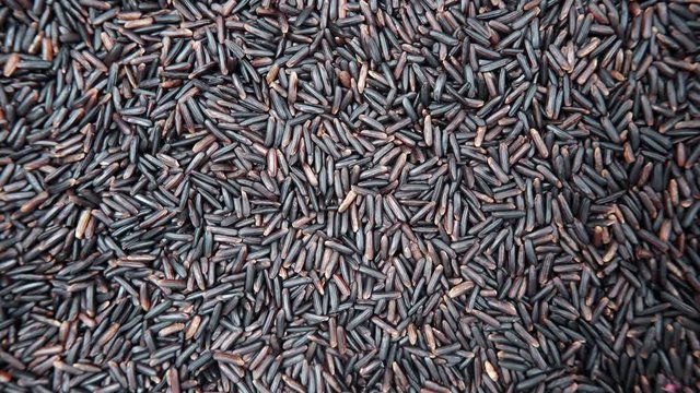 Black rice as natural food background. Top view. Healthy diet gluten free
