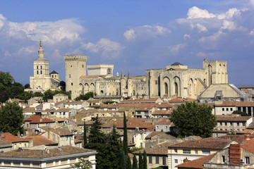 Fototapeta premium Avignon de haut