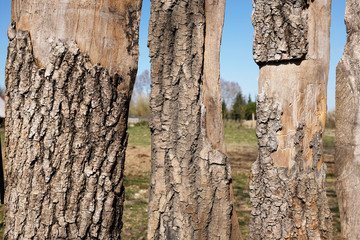 Old rustic wooden fence in the countryside.