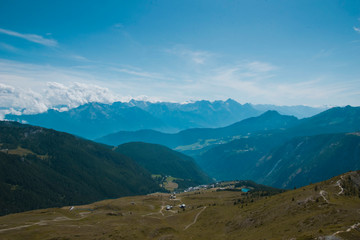 Fototapeta premium Chamois