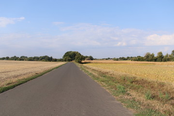 Empty road in the countryside, Cherkasy, Ukraine