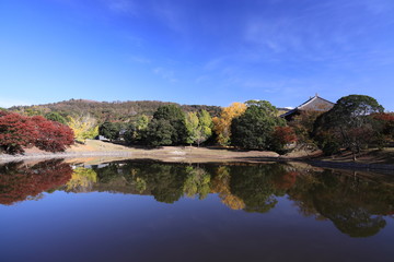 Fototapeta premium 池にも映った秋めく古都