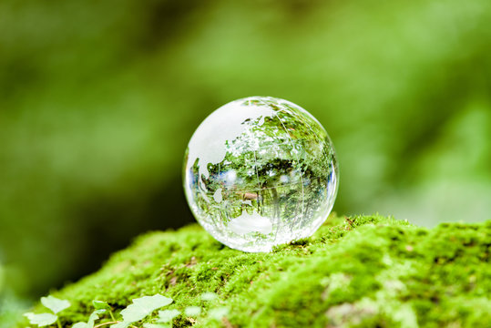 苔とガラスの地球儀