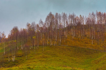 Autumn landscape in Fundatura Ponorului, also known as "The palm of God", Sureanu Mountains, Romania